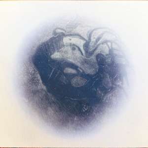 Random Thoughts - Trilobite by LCole, Image 1.