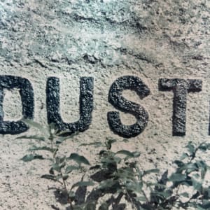 Industry by Eileen Morley 