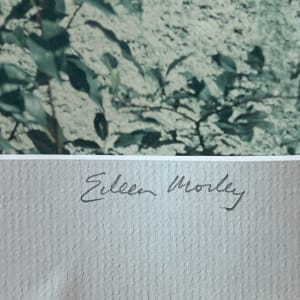 Industry by Eileen Morley 