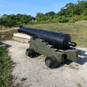 Revolutionary Cannons by Unknown 
