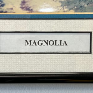 Magnolia by Tom Lyons 