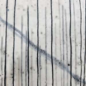 Strength in Perseverance by Shauna Marie Martin 