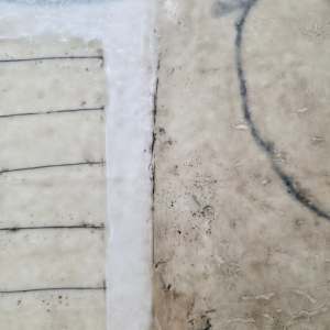 Glimpses of Possibilites by Shauna Marie Martin 