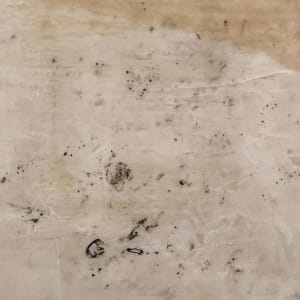 Solace No. 1 by Shauna Marie Martin 