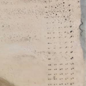 Commission 12.7.24 by Shauna Marie Martin 