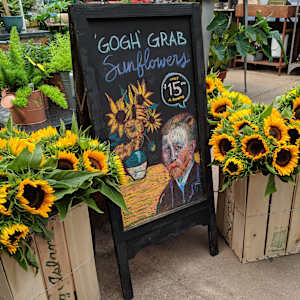 Bayport Flower Houses by Patricia A Kelley  Image: Amazing blackboard artwork by Abbey Auwaerter, daughter of the owner! I included her blackboard in the painting!