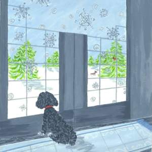 Snowflakes by Patricia A Kelley