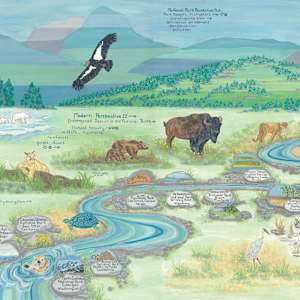 Modern Perspective II, Endangered Species in US National Parks by Patricia A Kelley
