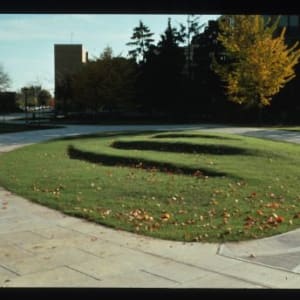 Black Swamp (BGSU - Eppler Classroom Building Plaza) by Will Nettleship 