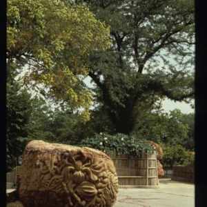 Behind the Brain (KSU - Merrill Hall Pedestrian Plaza) by Brinsley Tyrrell 