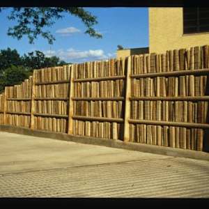 Behind the Brain (KSU - Merrill Hall Pedestrian Plaza) by Brinsley Tyrrell 