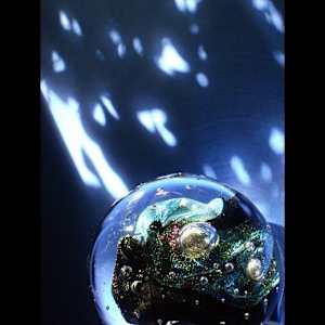 University of Toledo/Gillham Hall Purchases by Bonnie Dolin, John & Marcia Koverman, Dana Oldfather, Jan Bell, Edward Casagrande, Beth Himsworth, Katherine Ignatenko, Melinda Rosenberg, Michael Sheets, Sai Sinbondit, Becky Linhardt  Image: Becky Linhardt, Cincinnati, OH 
"Alternate Universes 3", Photography, 20" x 16", $500