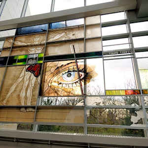 Anatomy Revealed (University of Toledo - Mercy Center) by Janine Ody-Miller