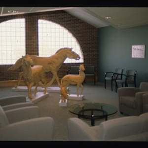 Evolution of the Horse (OSU - Galbreath Equine Center) by John Garton