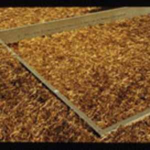 Input (OU - Grover Hall) by Maya Lin 