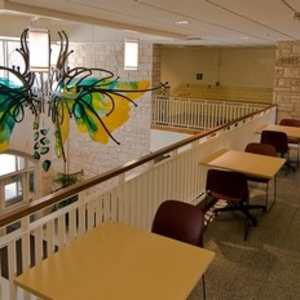 Blossoming (University of Toledo - Health and Human Services Building) by Kessler Studios, Inc. 