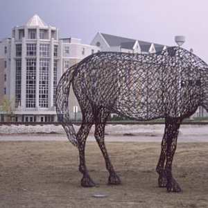 Noble Horse (University of Toledo - Rocket Hall) by Peter Busby 