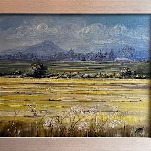 Stirling Castle by Allison Young