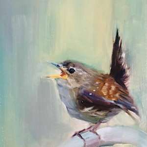 Wren Song by Louise Ogilvy