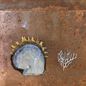 Oyster by Craig Ericksen