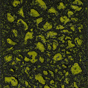 Mossy Lava Field no. 2457 by Klara Gunnlaugsdottir