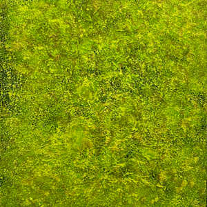 Green Moss Art no. 2553 by Klara Gunnlaugsdottir