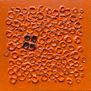 Warm Whisper no. 2564 by Klara Gunnlaugsdottir