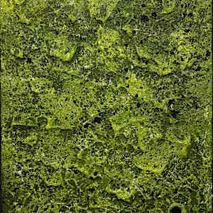 Mossy Lava Field no. 2520 by Klara Gunnlaugsdottir