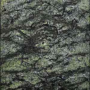 Mossy Lava Field no. 2521 by Klara Gunnlaugsdottir