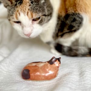 calico by Ako Castuera 