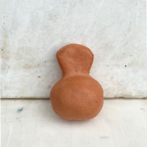 Brown Belly Bell by Ako Castuera 