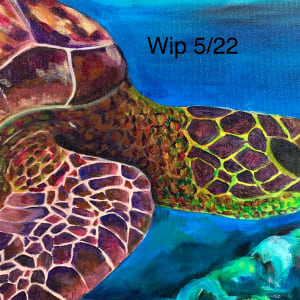 Edward, the Golden Loggerhead Turtle by Jennifer C.  Pierstorff 
