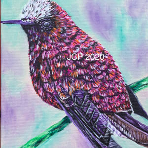 Purple and pink Colibri Hummingbird Resting by Jennifer C.  Pierstorff