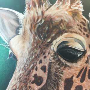 The Stoic Giraffe by Jennifer C.  Pierstorff 