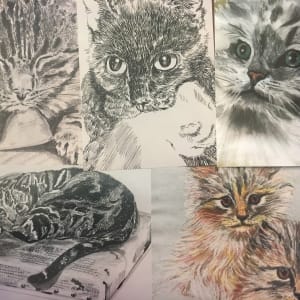 Mimi collection-cat themed 5 pack (low color) by Jennifer C.  Pierstorff
