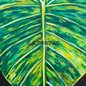 Giant Golden Pothos Leaf by Jennifer C.  Pierstorff