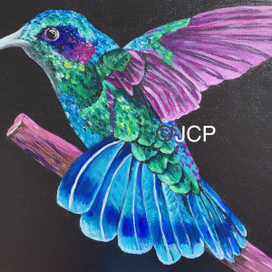 The royal reign of the hummingbird by Jennifer C.  Pierstorff