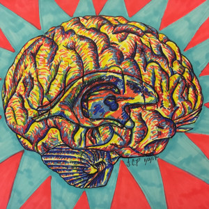 It’s a primary brain by Jennifer C.  Pierstorff