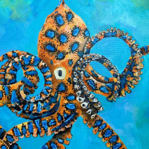 Blue Ring Octopus Family by Jennifer C.  Pierstorff  Image: tip close up