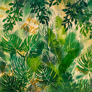 Faith and Growth in the Jungle by Jennifer C.  Pierstorff