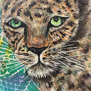 Green Eyed Leopard by Jennifer C.  Pierstorff