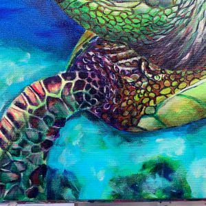 Lana, the Turtle, Creates the Stillness She Needs by Jennifer C.  Pierstorff 