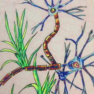 Grassy nerve cells by Jennifer C.  Pierstorff