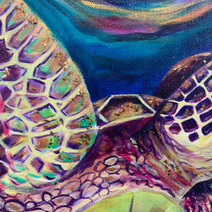 Shelly and Sheldon Give Turtle Snuggles by Jennifer C.  Pierstorff 