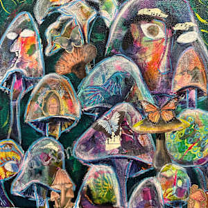 The Secret Life of Mushrooms by Jennifer C.  Pierstorff, Image 2.