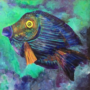 Hawaiian surgeon fish by Jennifer C.  Pierstorff