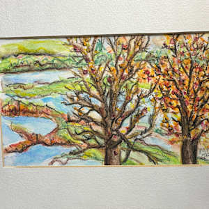 Dunbar Cave Park in the Fall by Jennifer C.  Pierstorff 