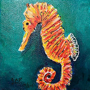 Little Orange Seahorse by Jennifer C.  Pierstorff 