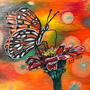 Gulf Frittilary Lounging on a Zinnia by Jennifer C.  Pierstorff 