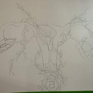 Sacral chakra by Jennifer C.  Pierstorff  Image: Wip drawing